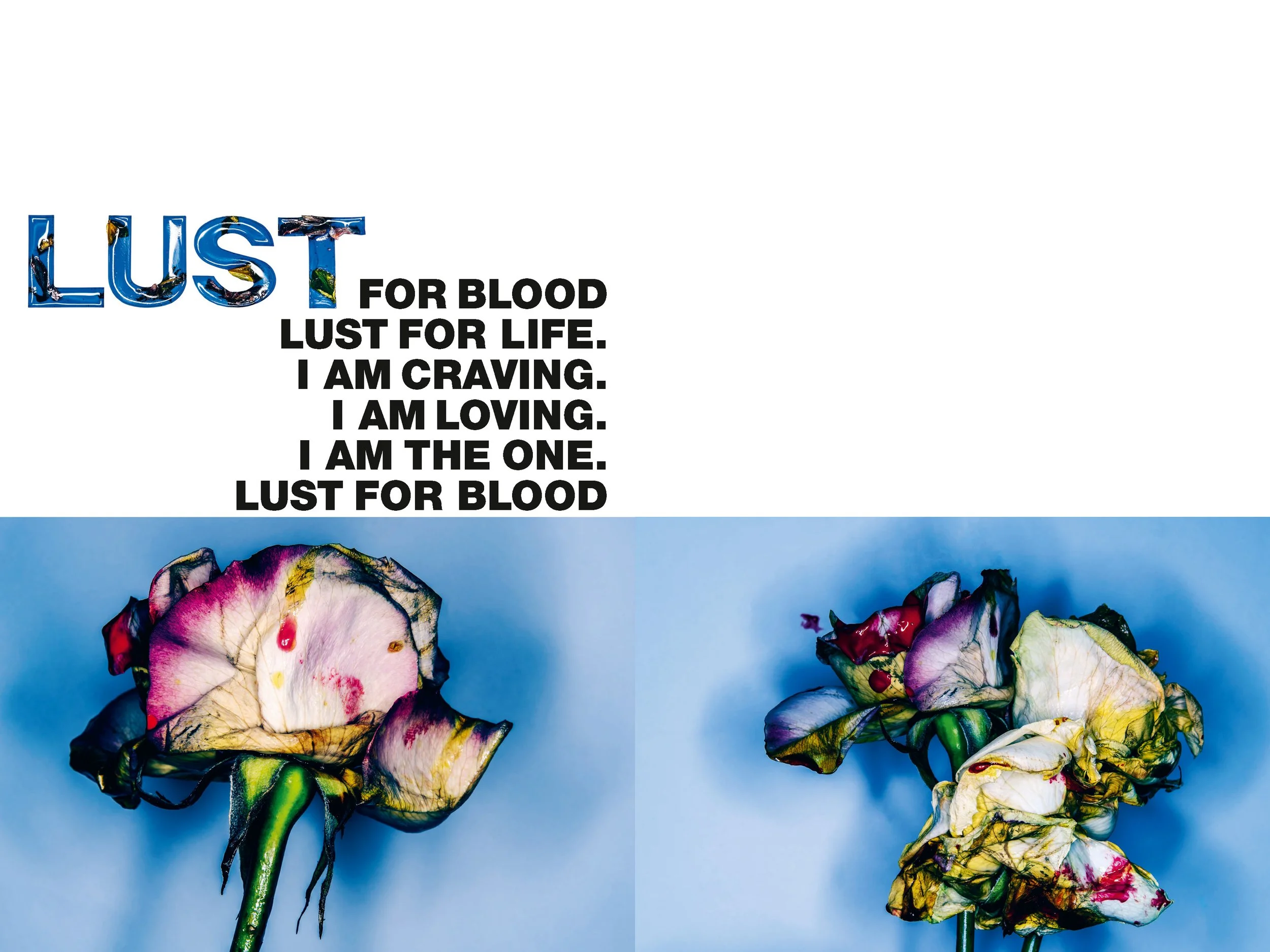 07-LEGEND flowers Texts 28_02_150DPI_Page_09.jpg