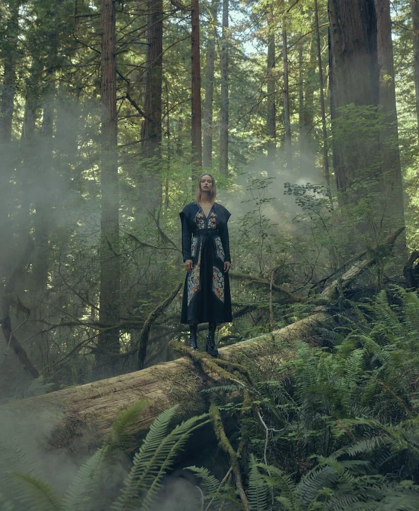 AnLeStudio_Redwoods_13.jpg