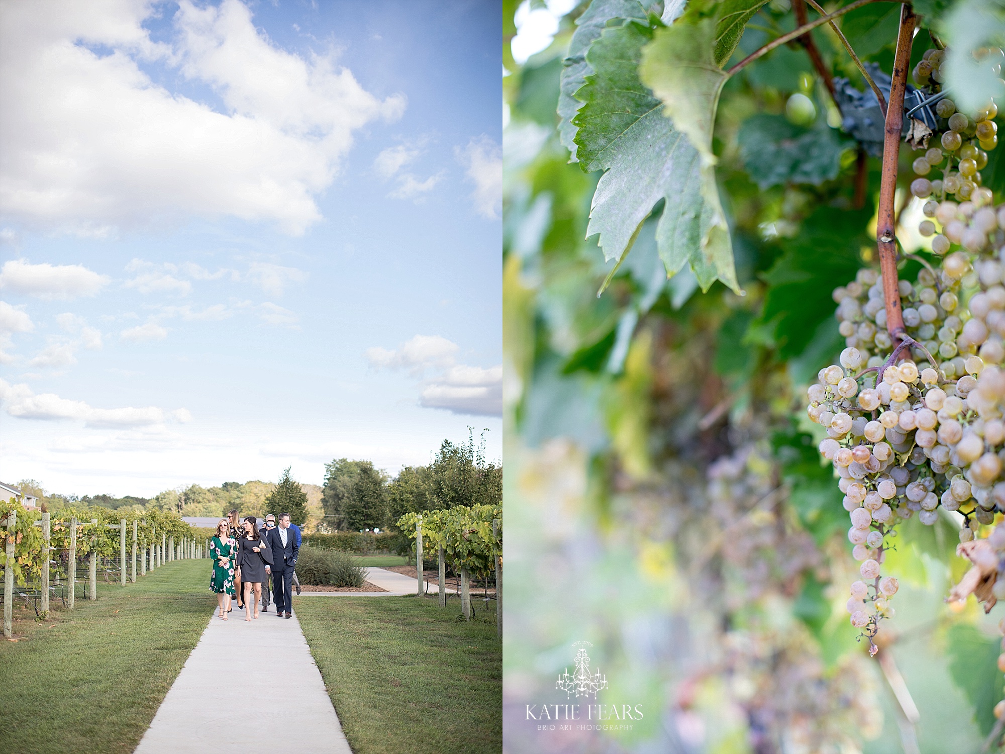  Best MN Wedding Photographer Katie Fears | www.brioart.com 