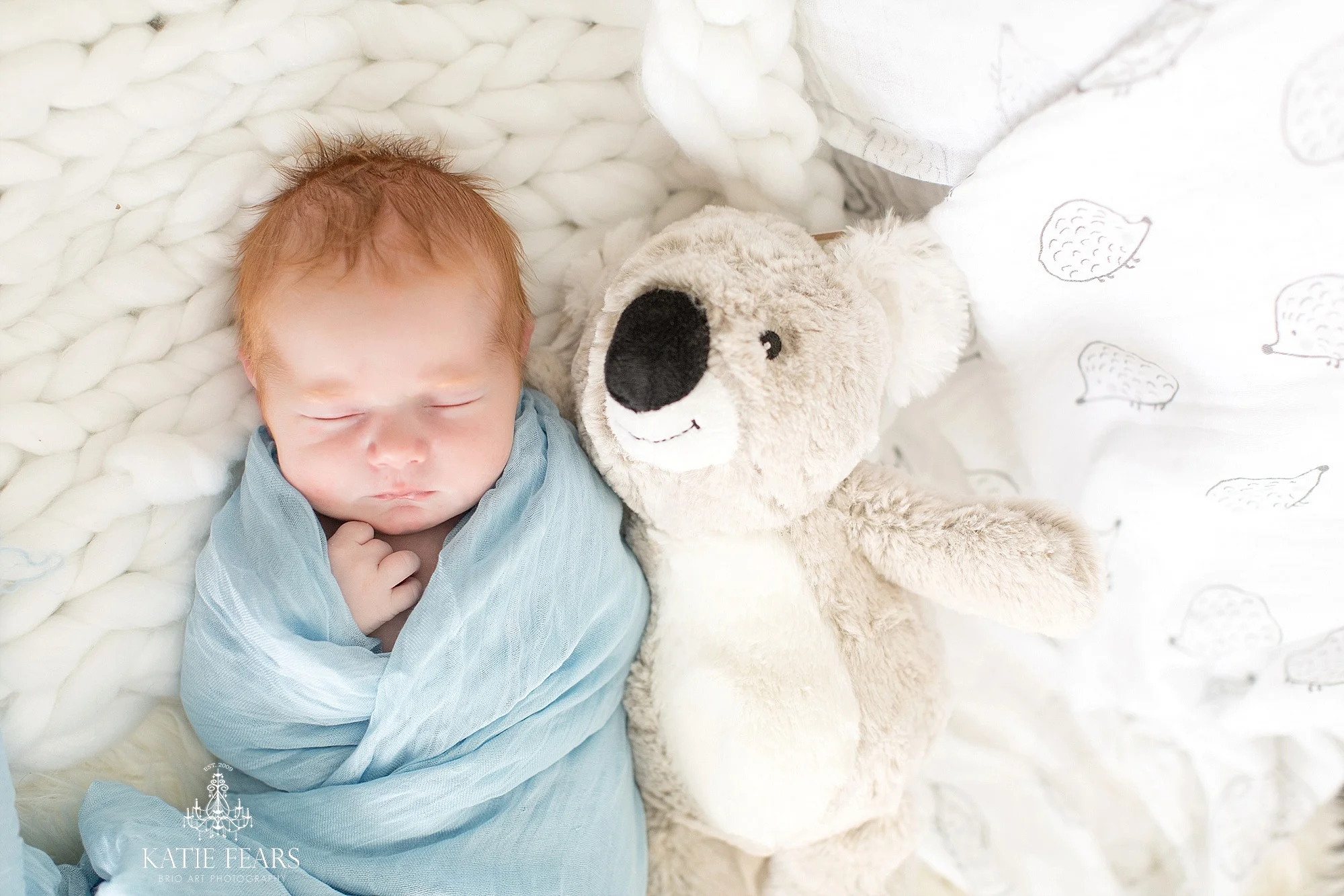 Best MN Childrens Photographer Katie Fears | www.brioart.com