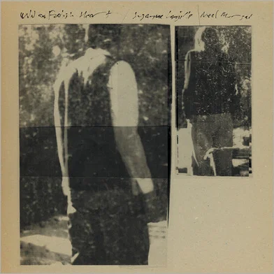 Wild & Foolish Heart Suzanne Langille & Neel Murgai