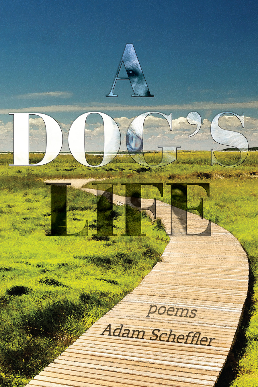 thumbnail_book cover.jpg