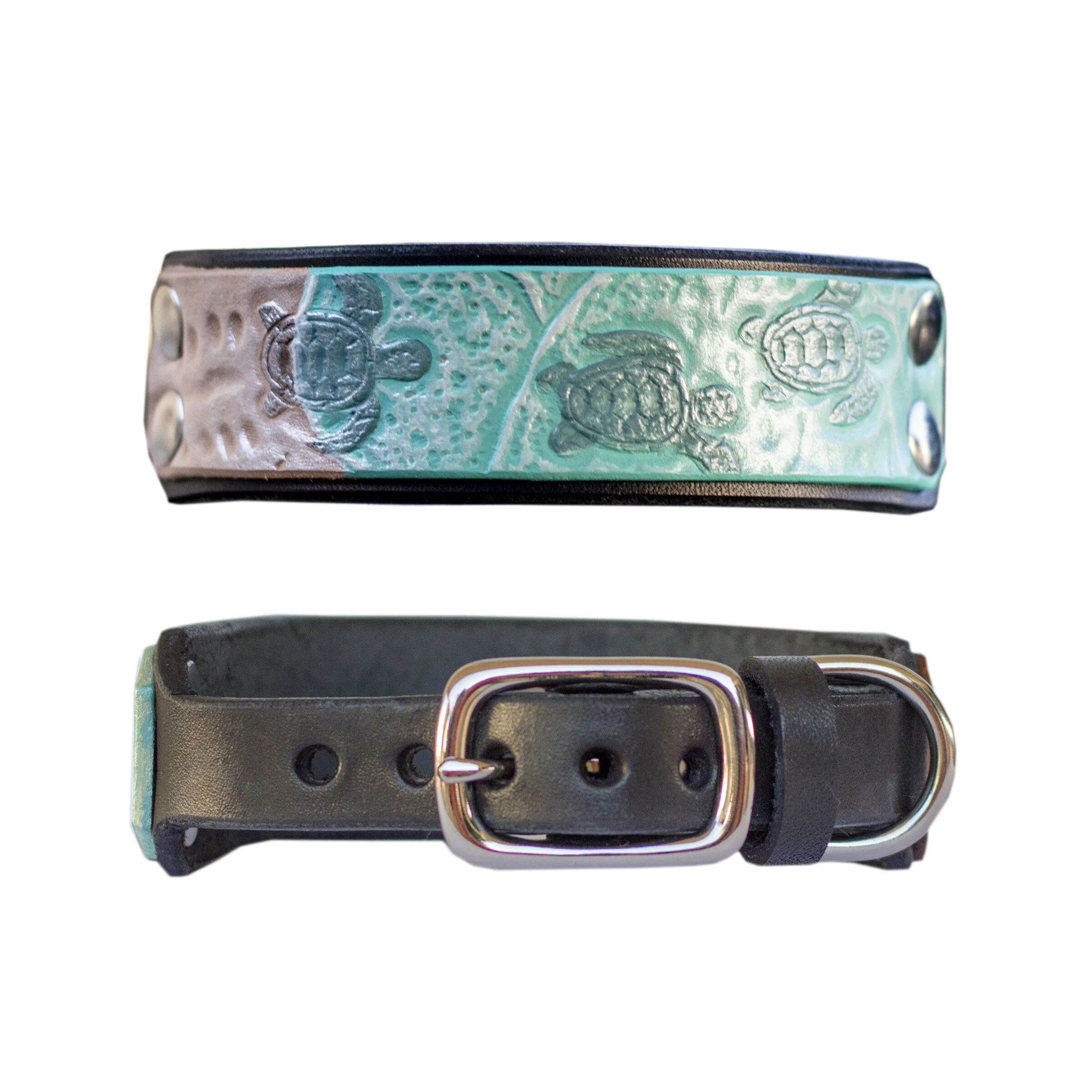 Turtle Dog Collar Sea Turtle Dog Collar
