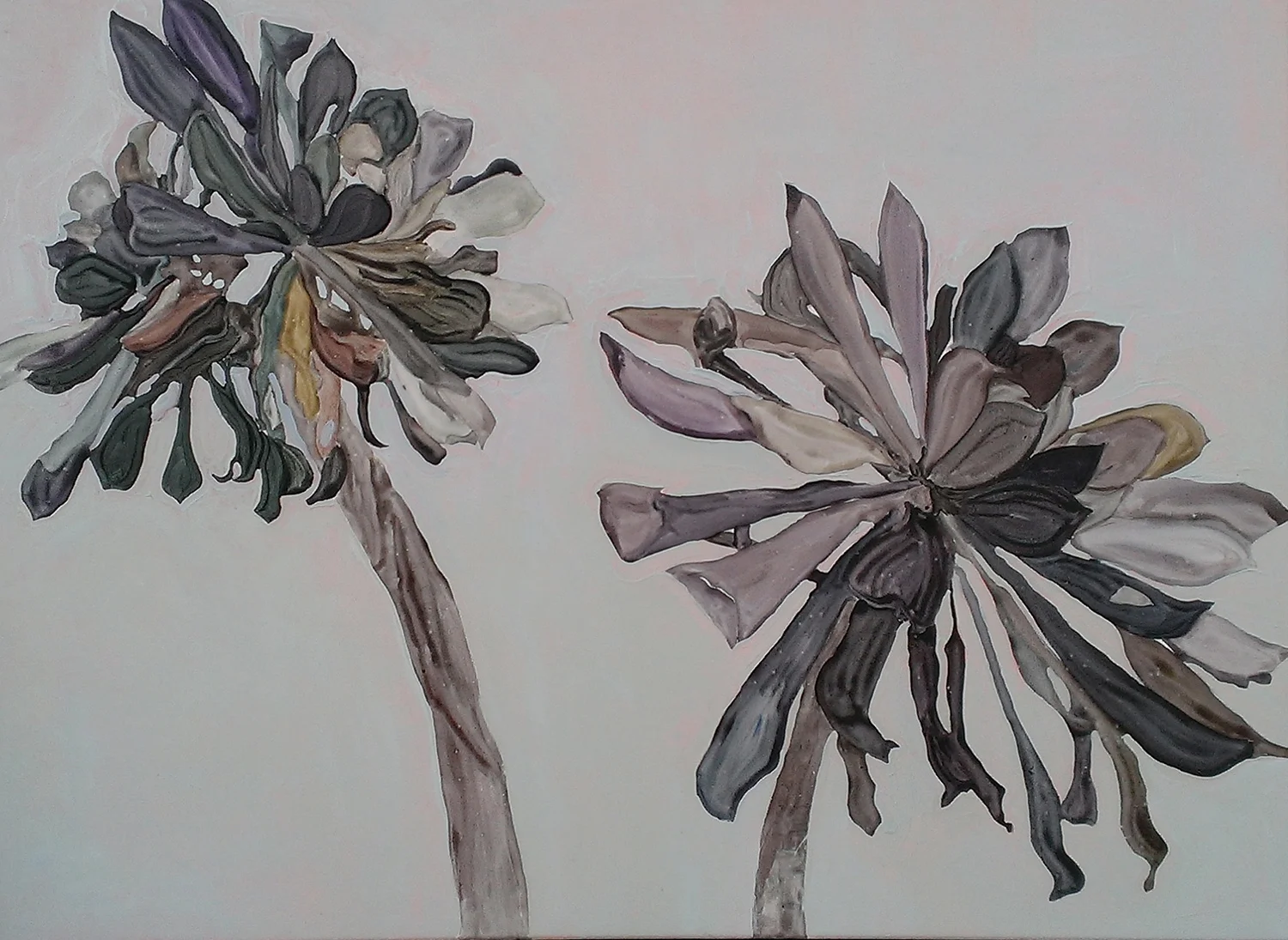 Flower 8