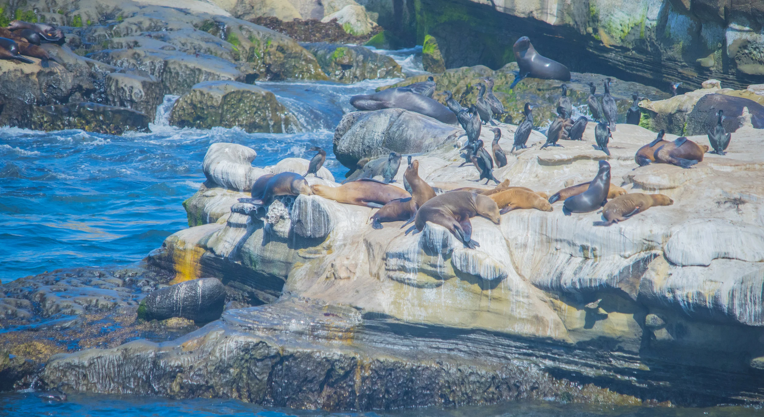 La Jolla, San Diego, California