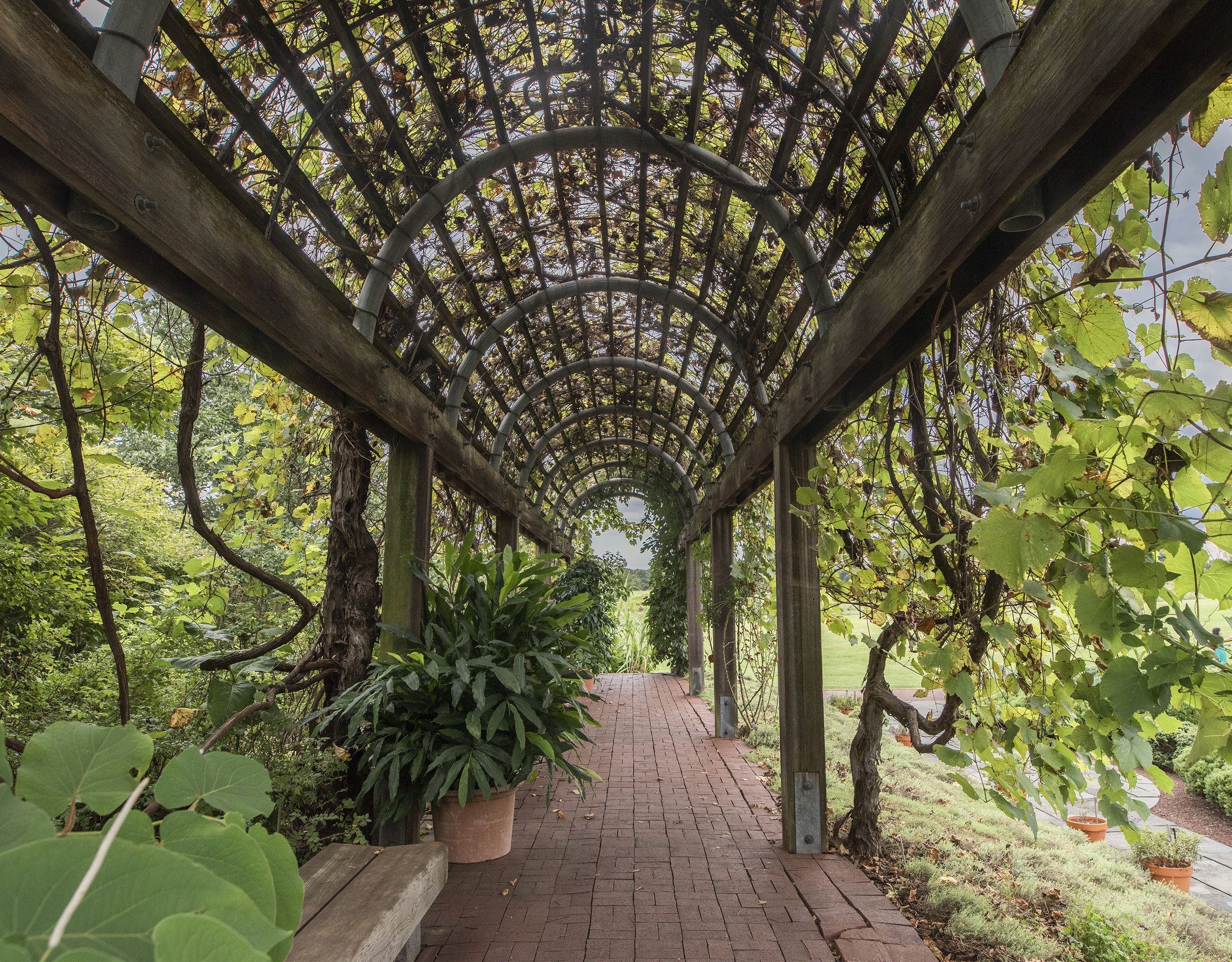 National Arboretum, Washington, D. C.