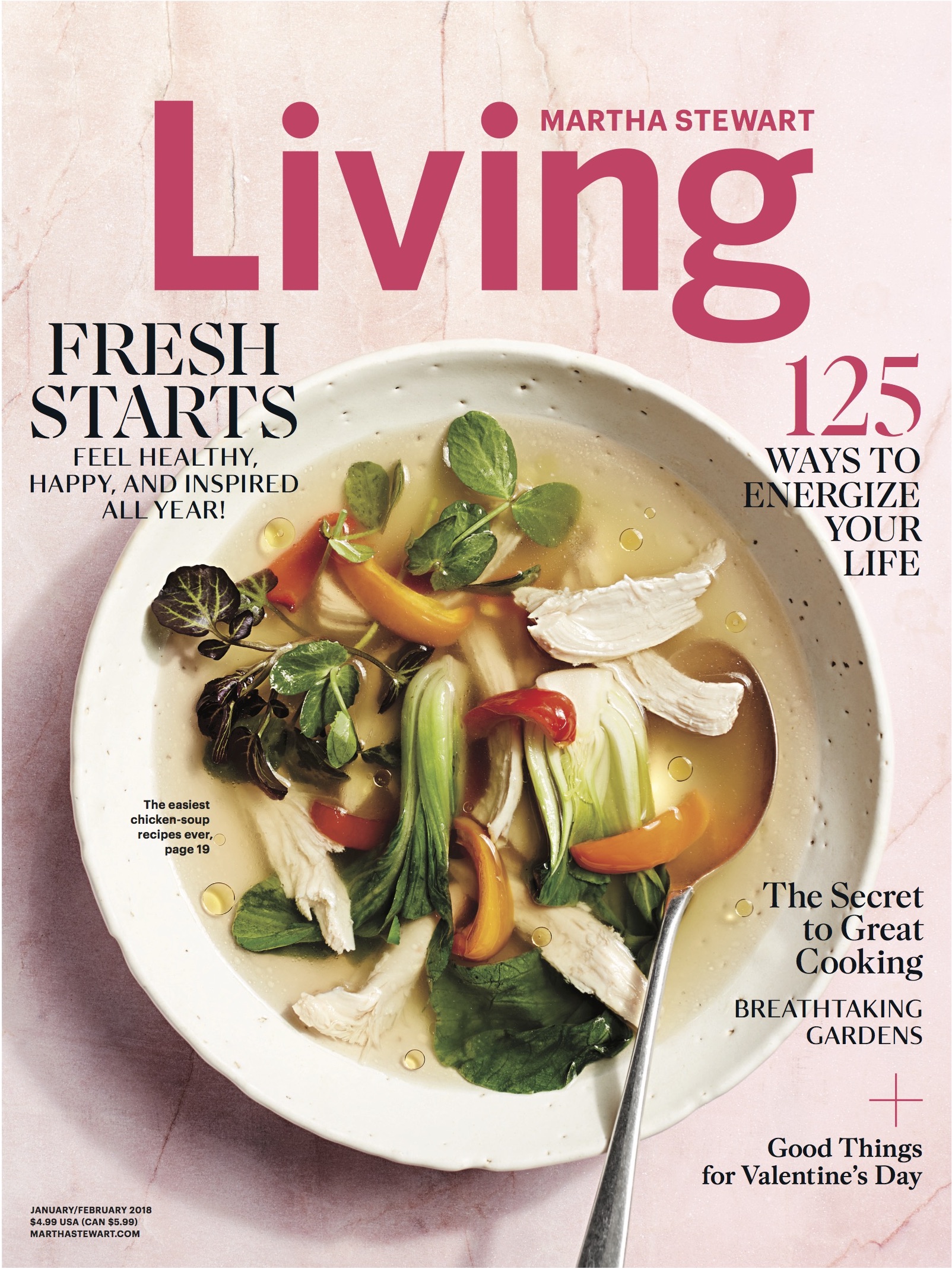 Green Thai Chicken Soup / Martha Stewart Living Cover Jan/Feb 2018 (Styled by Greg Lofts)