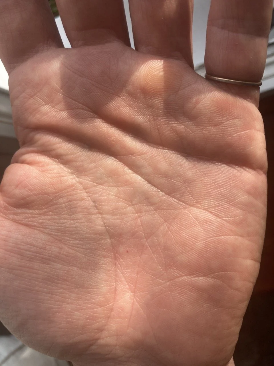 64434701362__01D0CEB9-25A5-489D-9702-F69D97714217 Large.jpeg