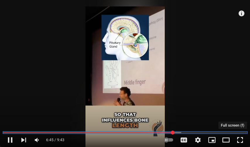 Traditional wisdom versus the algorithm in the study of palmistry