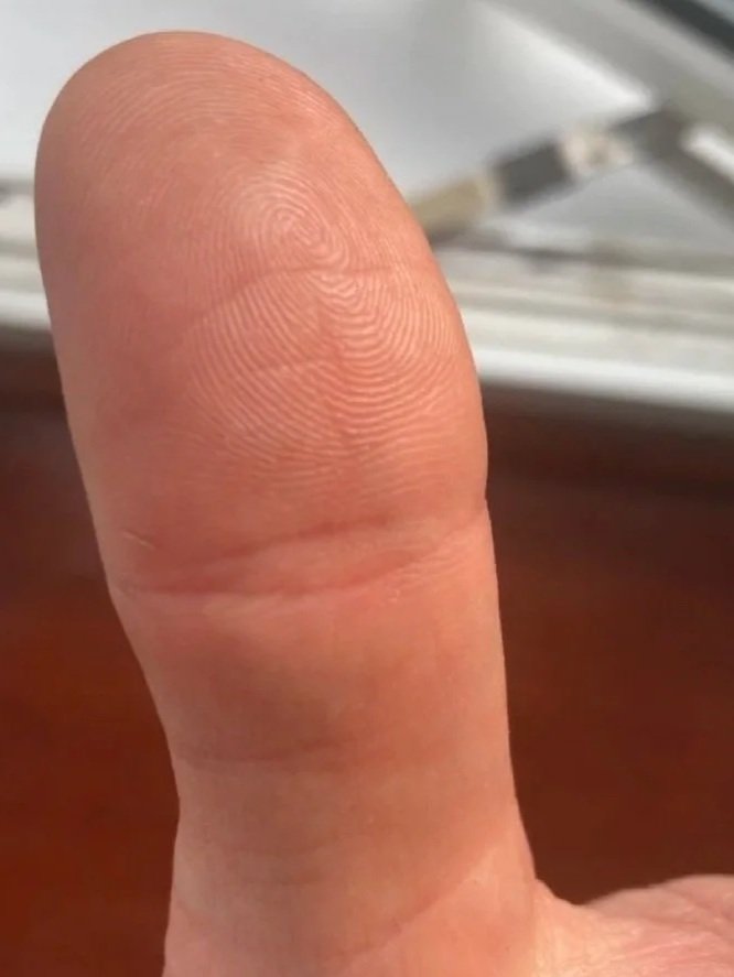 Close-up of a thumb with clear fingerprint details.