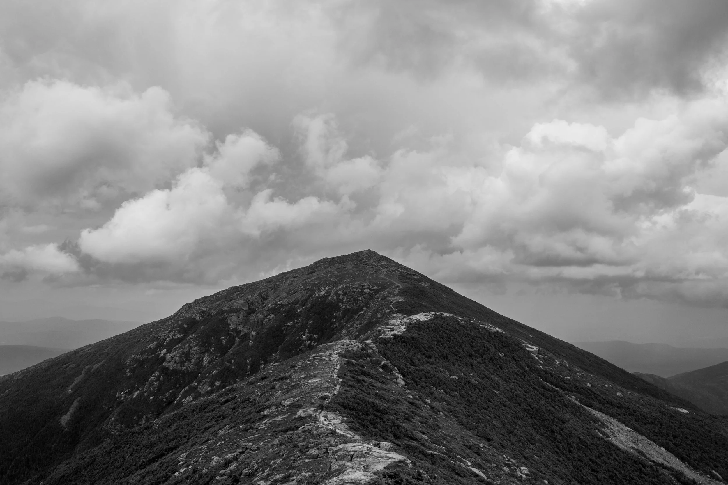 IMG_1359.jpg