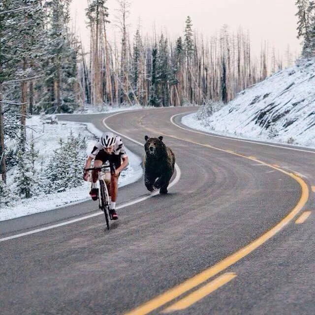 This letter also applies to anyone who owns a bear.