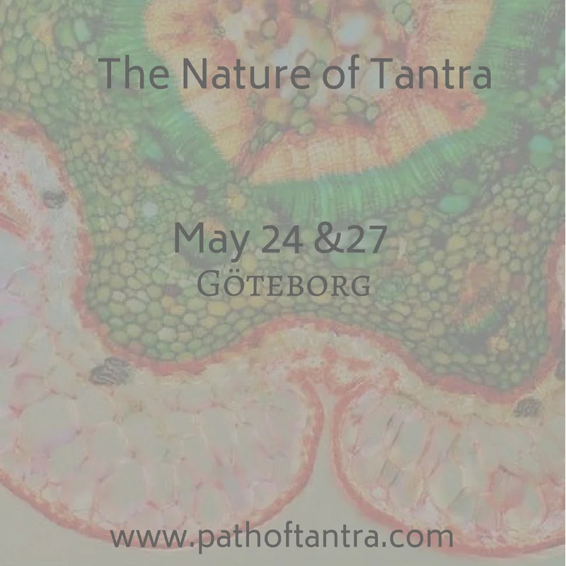 The Nature of Tantra Goteberg, Sweden