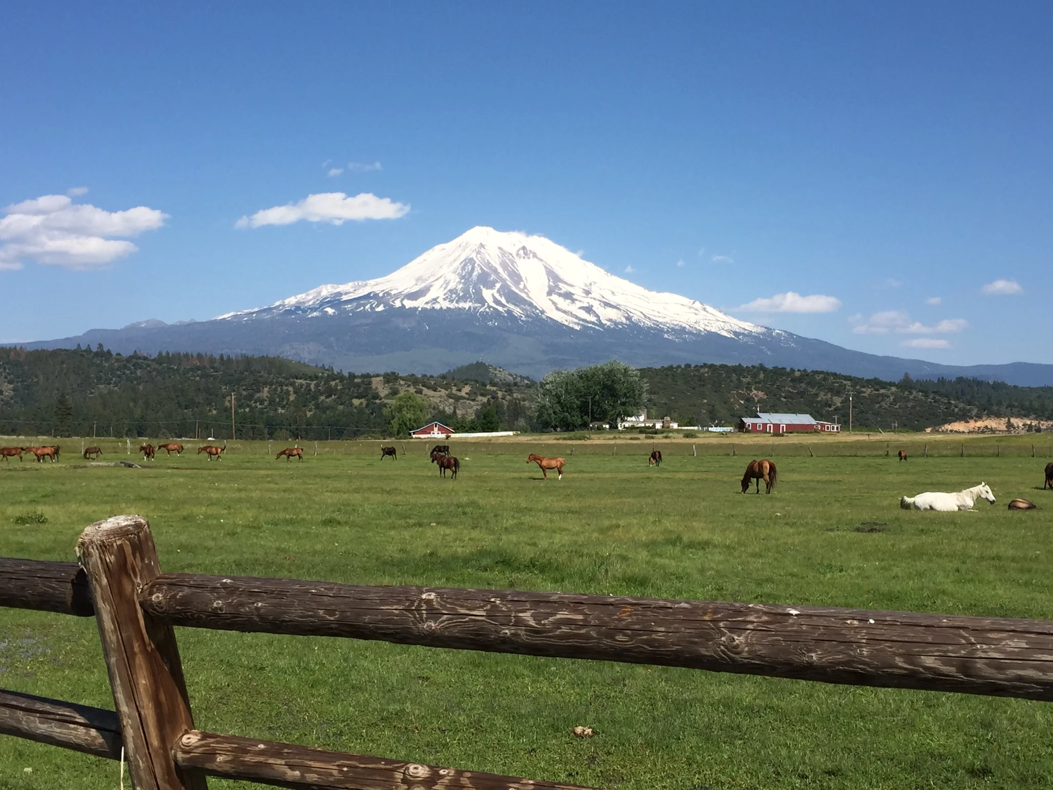 Tantra Intensive Mount Shasta, California