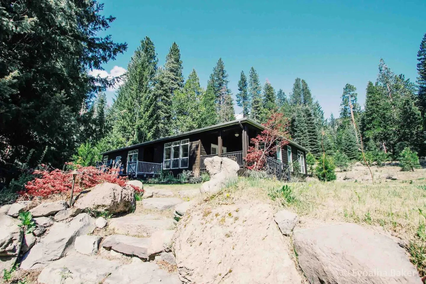 ezgif.com-webp-to-jpg (11).jpg