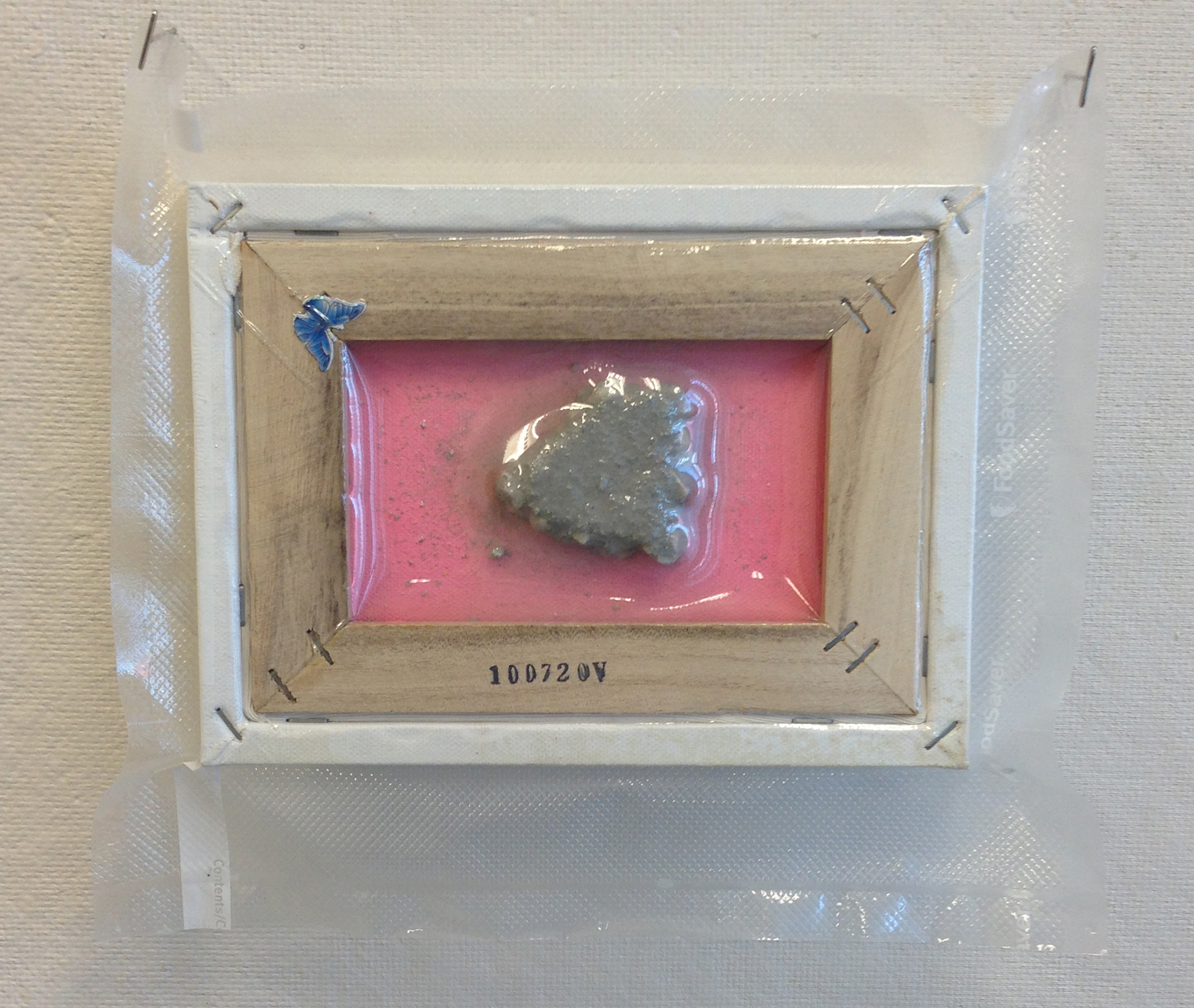 "rock seal" 2013, 11'' x 15''