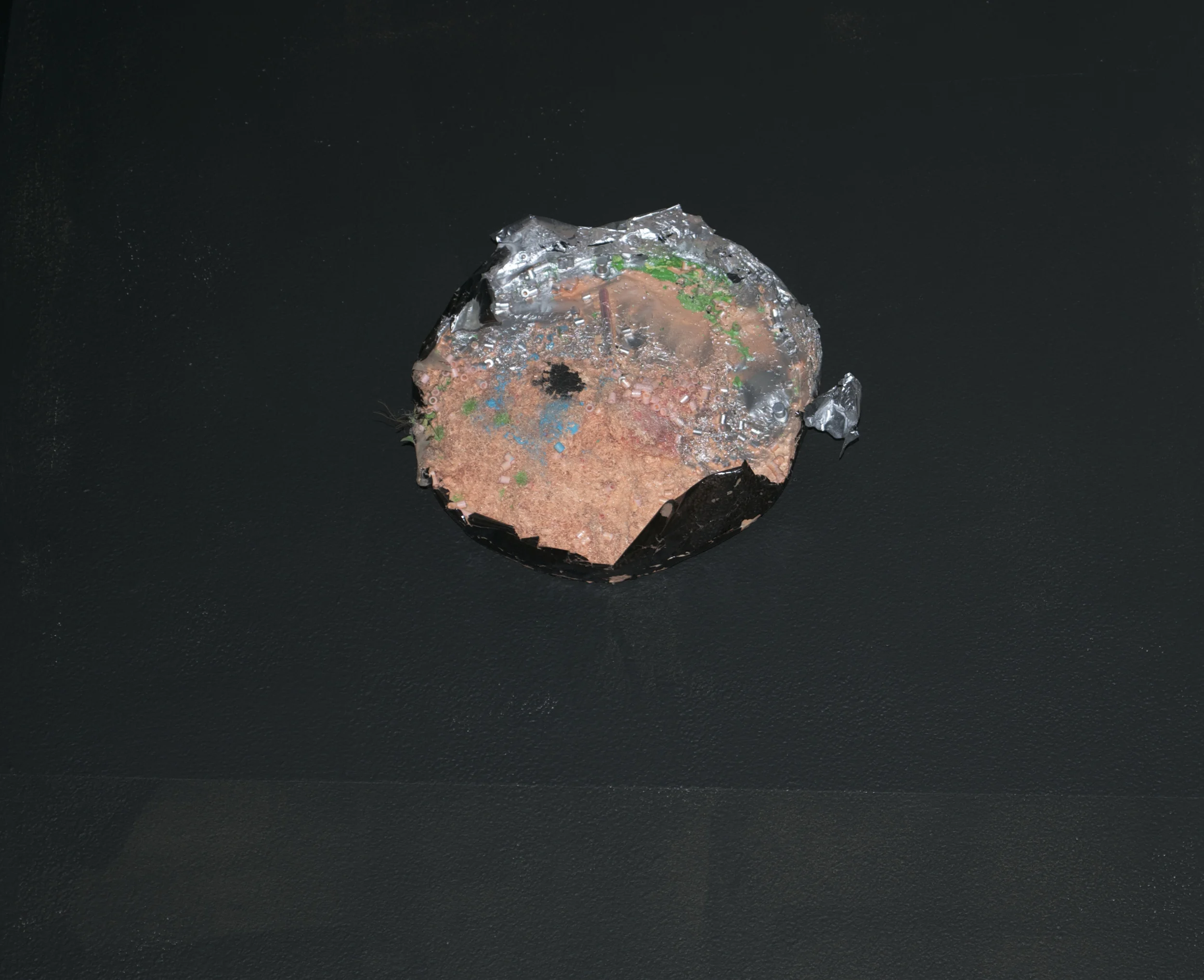 DSC_0079.jpg