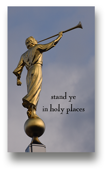 Temple Recommend Holder Moroni