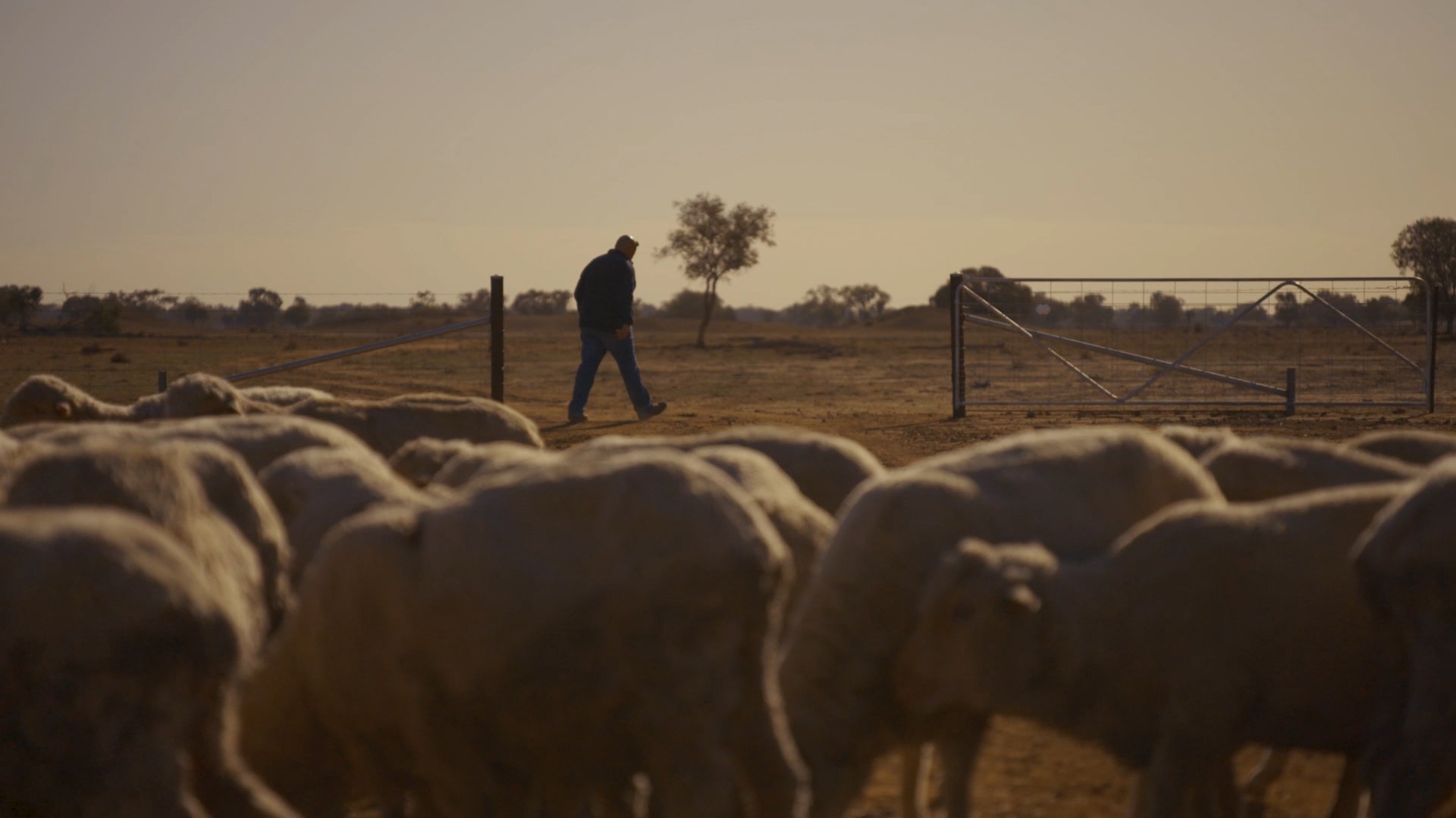 Great Northern ~ Let it Pour