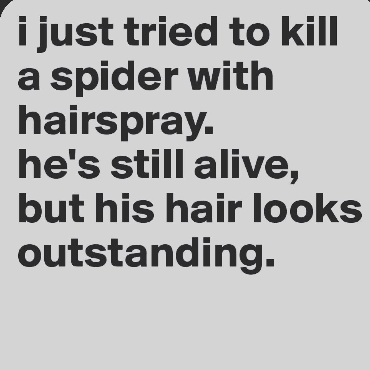 𝕴 𝖆𝖒 𝖘𝖔 𝖌𝖚𝖎𝖑𝖙𝖞 😂🕷
.
.
.
.
.
.
.
📲inbloom101.com for online booking 
.
.
.
#inbloom101 #salonowner #seattlehairstylist #salonlife #curlyhair #hairsalon #seattlebalayage #balayagespecialist #haircare #naturalbeauty  #hairstylist #obsessed
