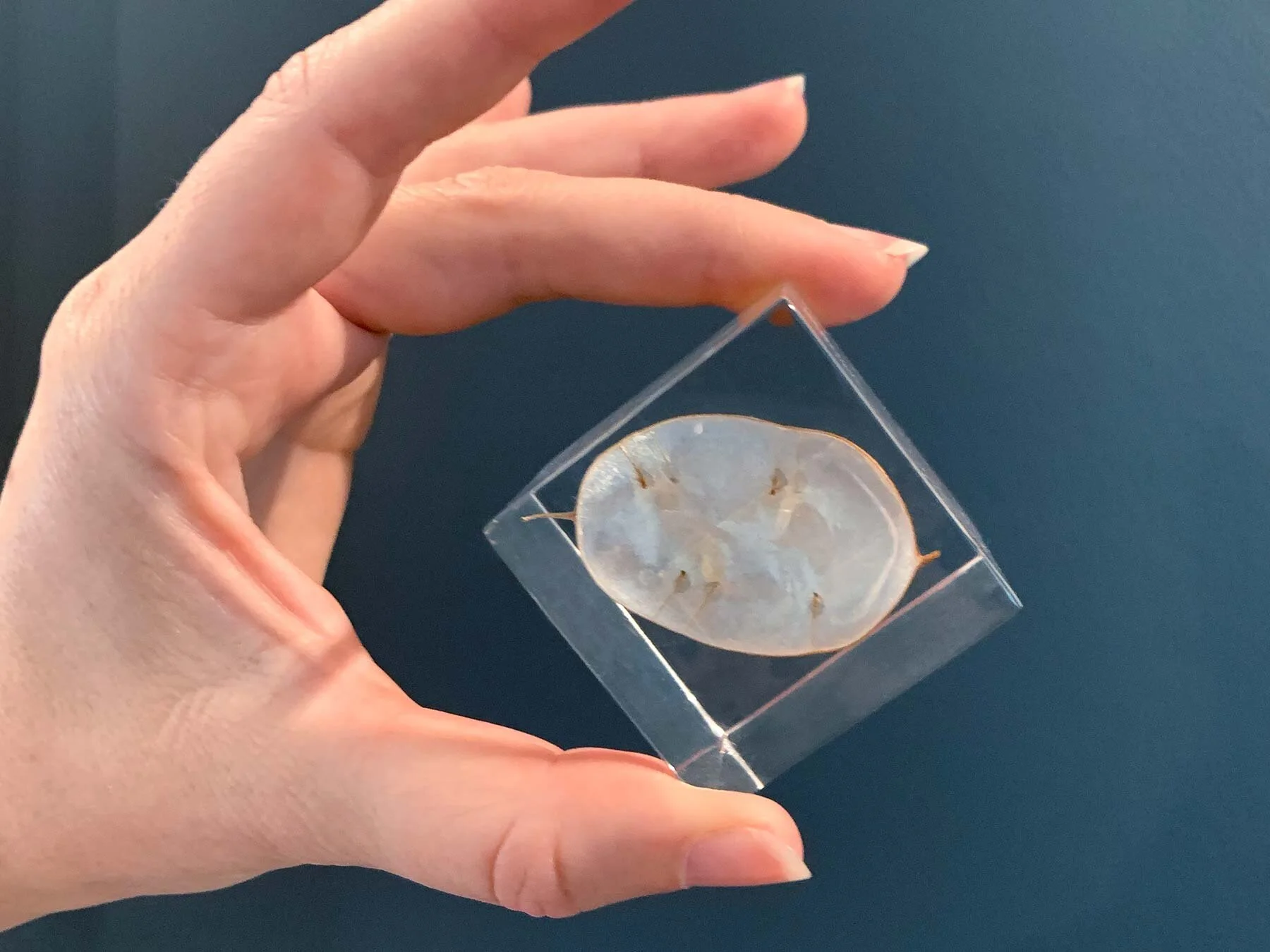 Fun Things to Do with Flowers from Your Boyfriend.