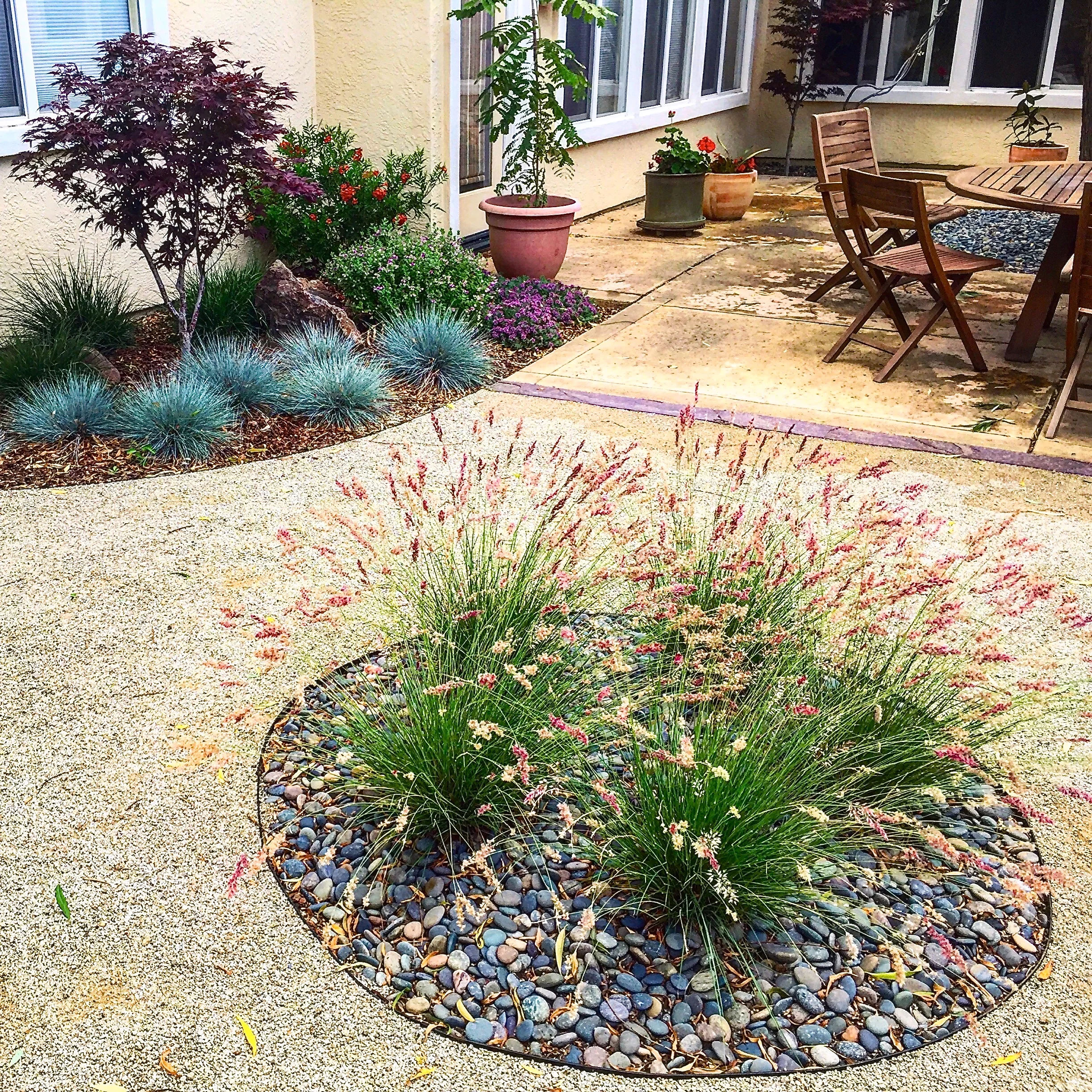  Plants make a space special.  