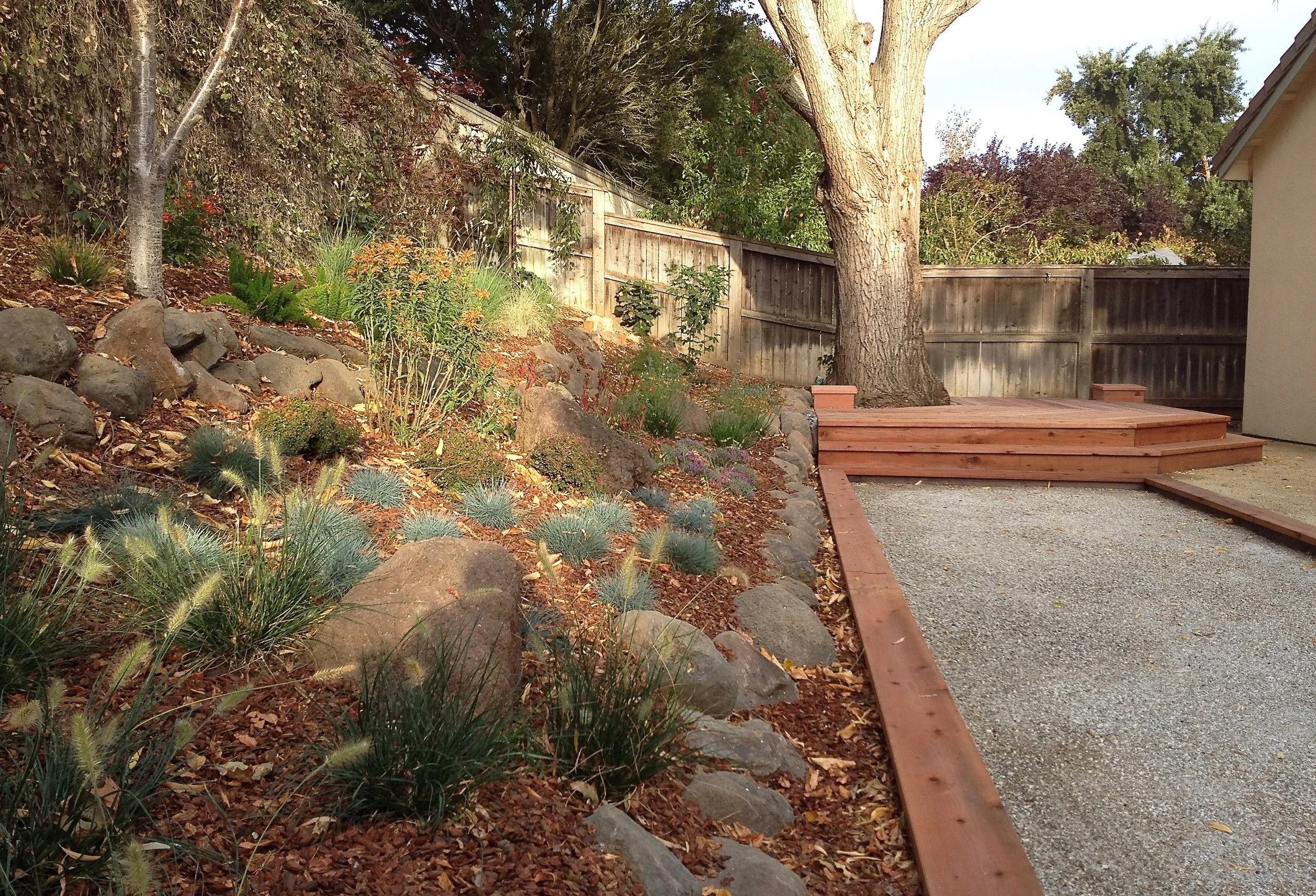  Mixed hillside planting next to bocce court. 