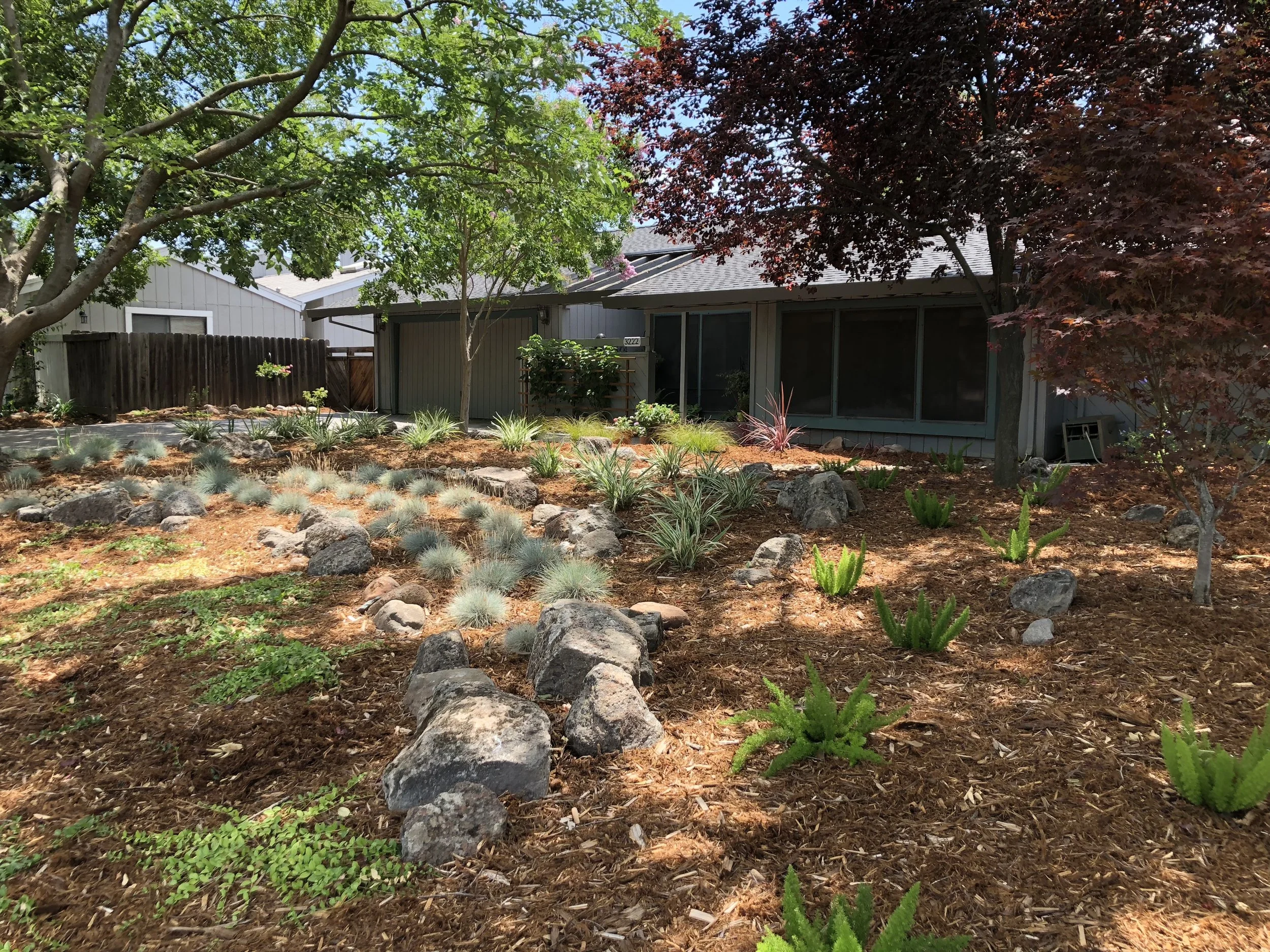  Moss rock boulders and mass plantings. 