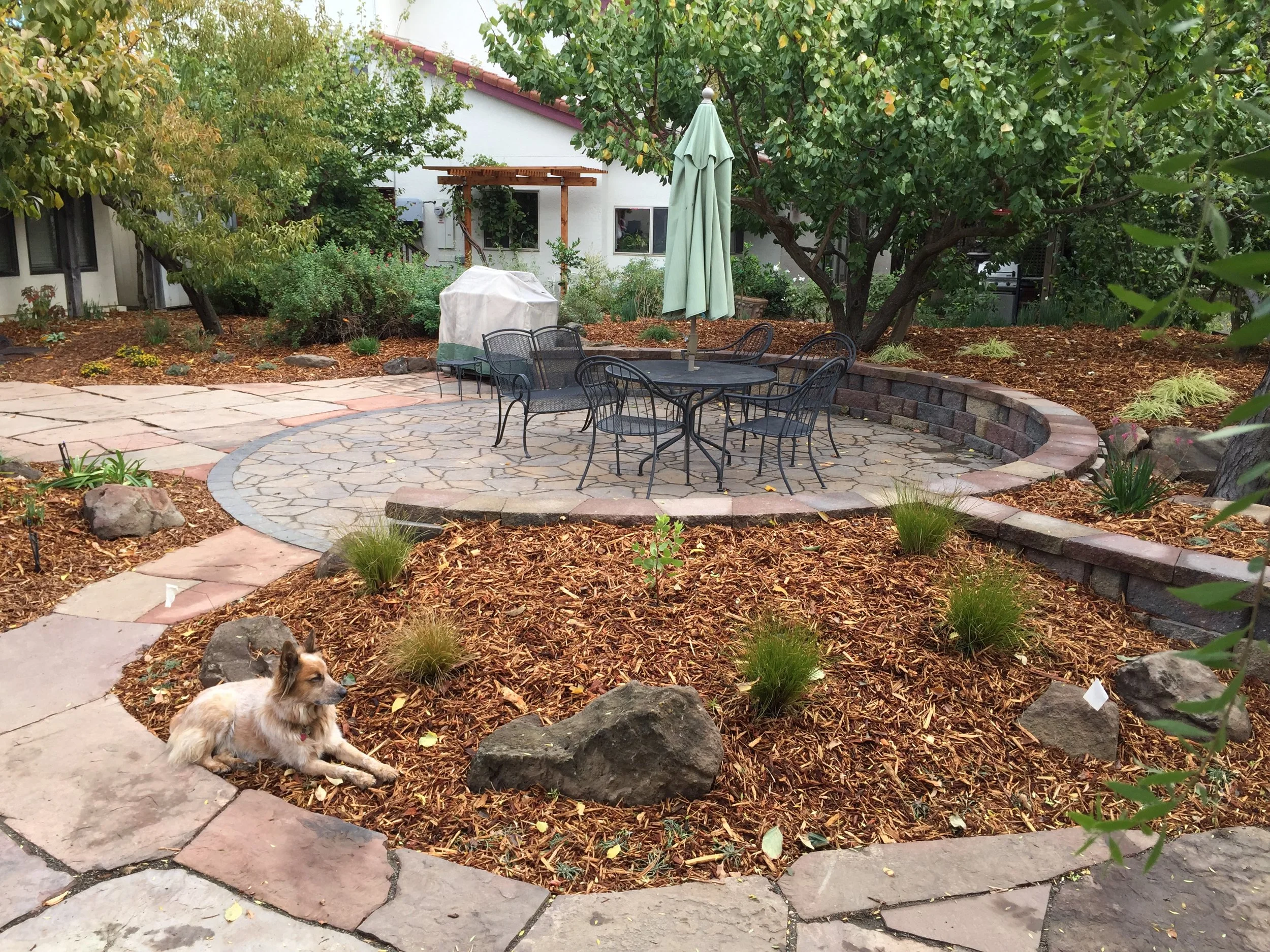  New paver patio and seat wall. 