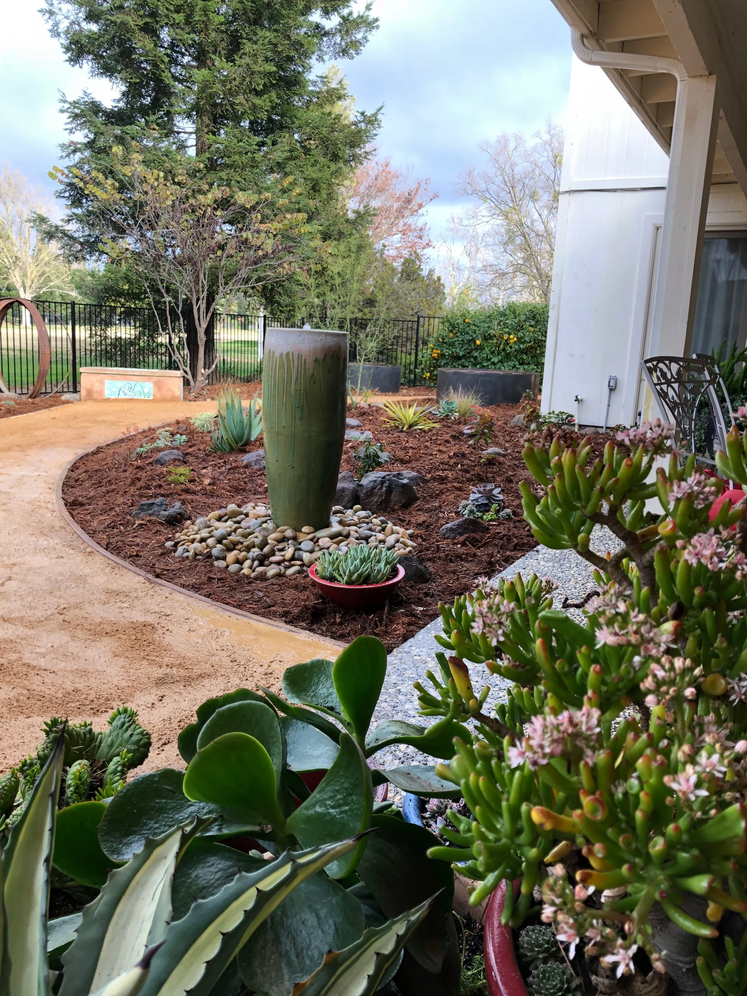  Decomposed granite pathway, fountain and plants.  