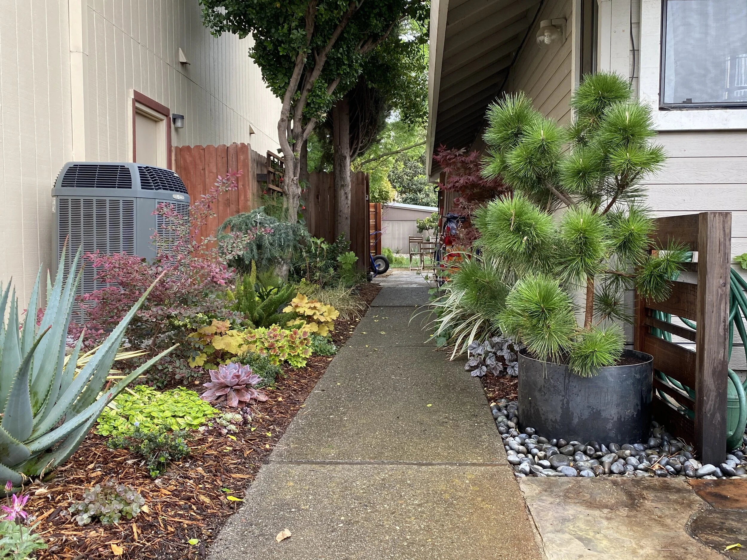  Plants add interest to any home or building. 