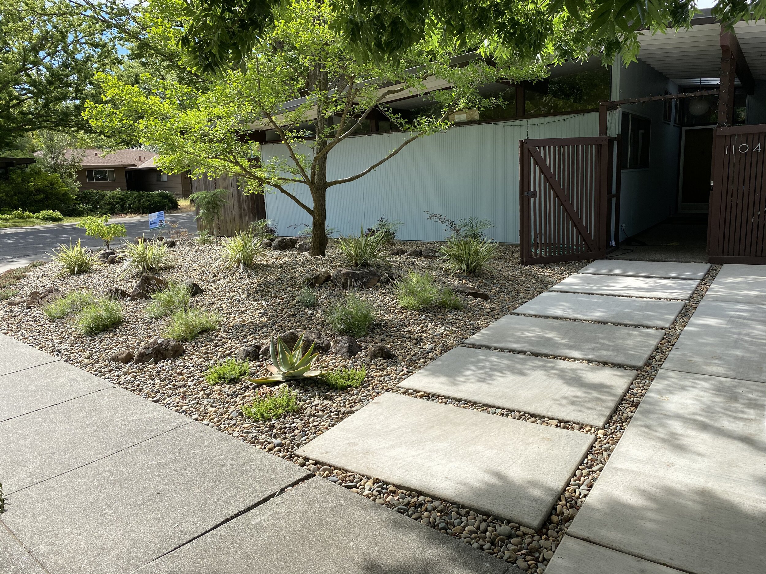  Custom concrete driveway, path and landscape. 