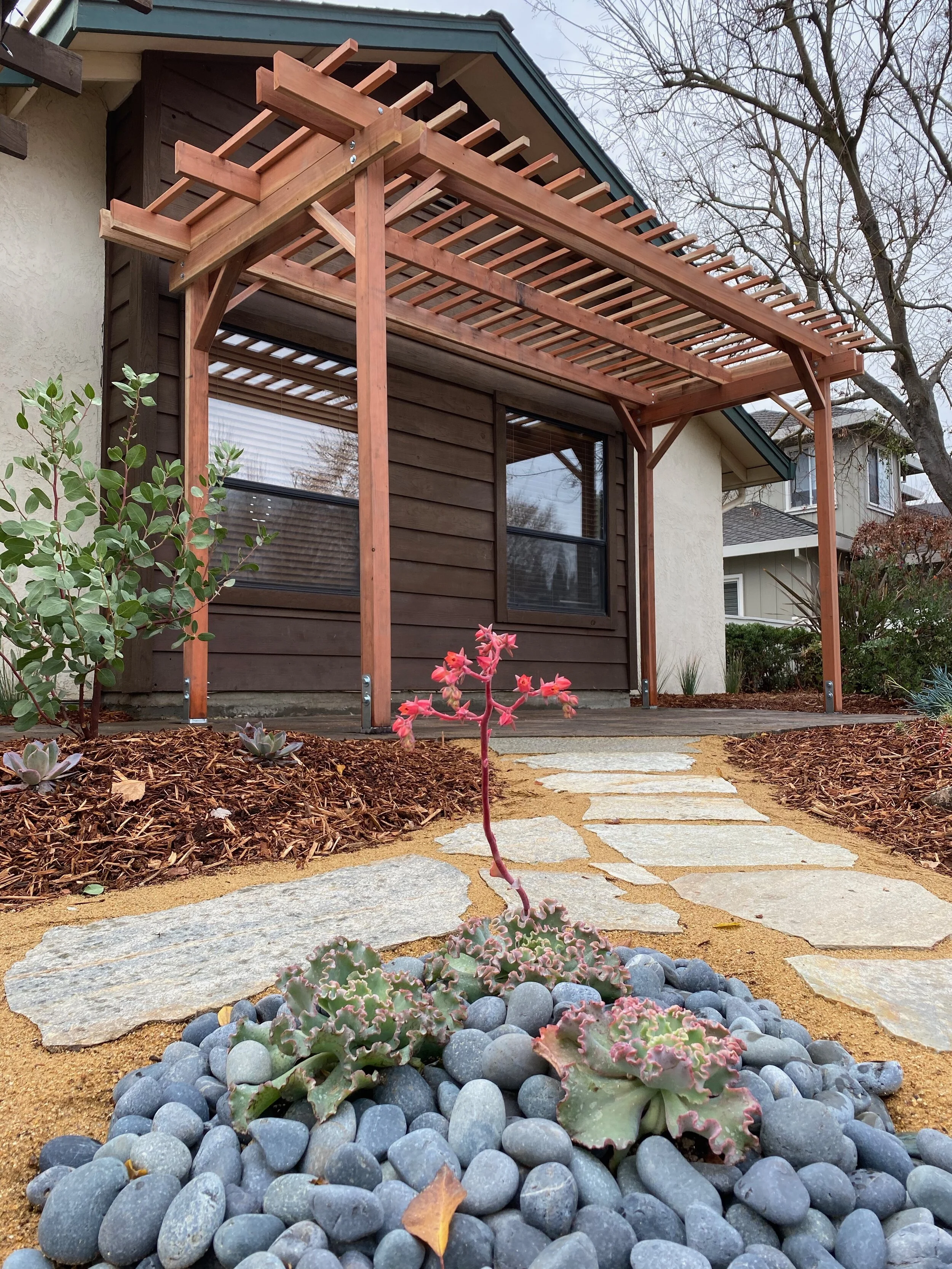  New redwood pergola, flagstone paths and plantings. 