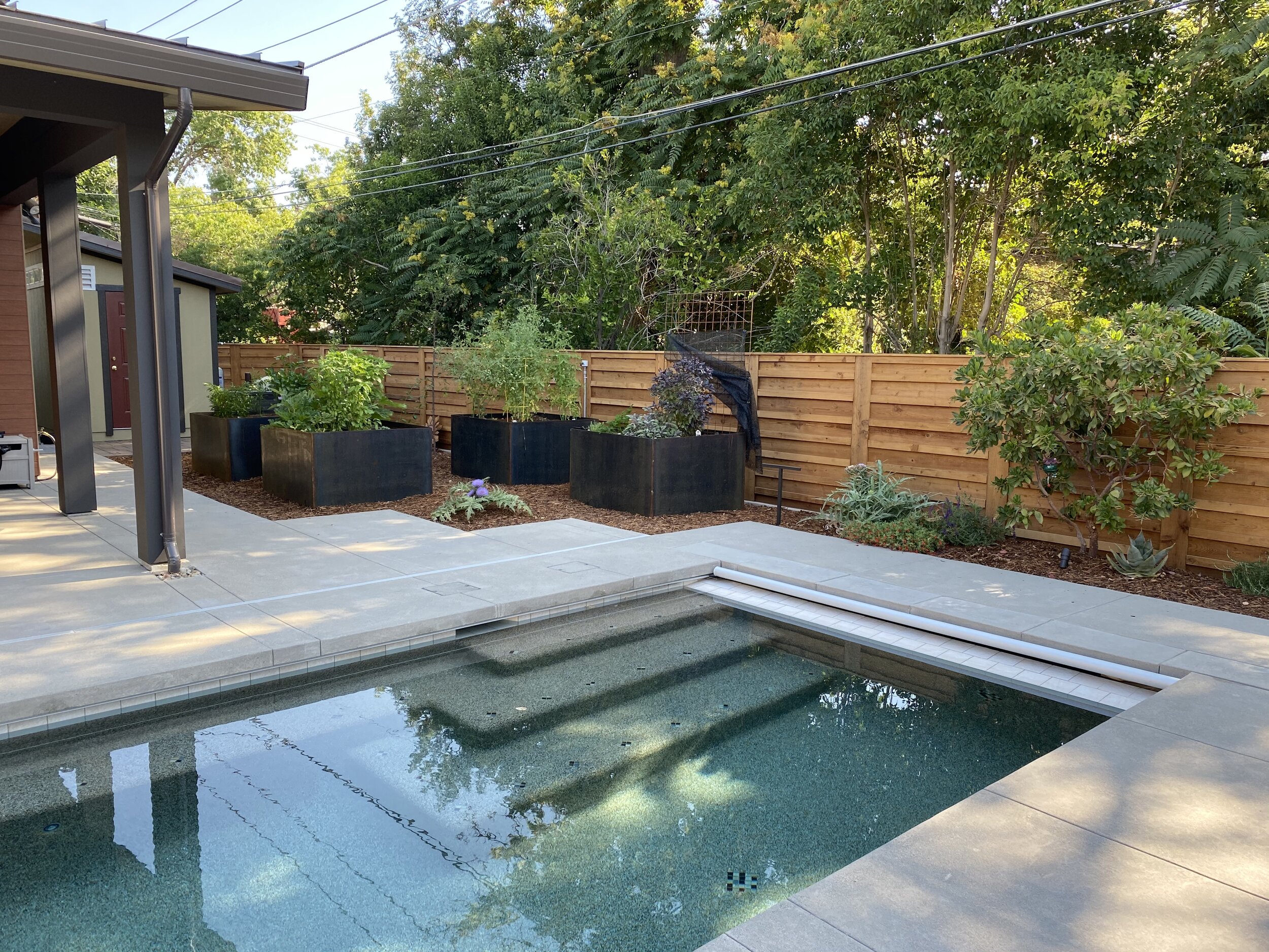  New corten steel planters, redwood fence, concrete pool deck, plantings, irrigation and mulch.  