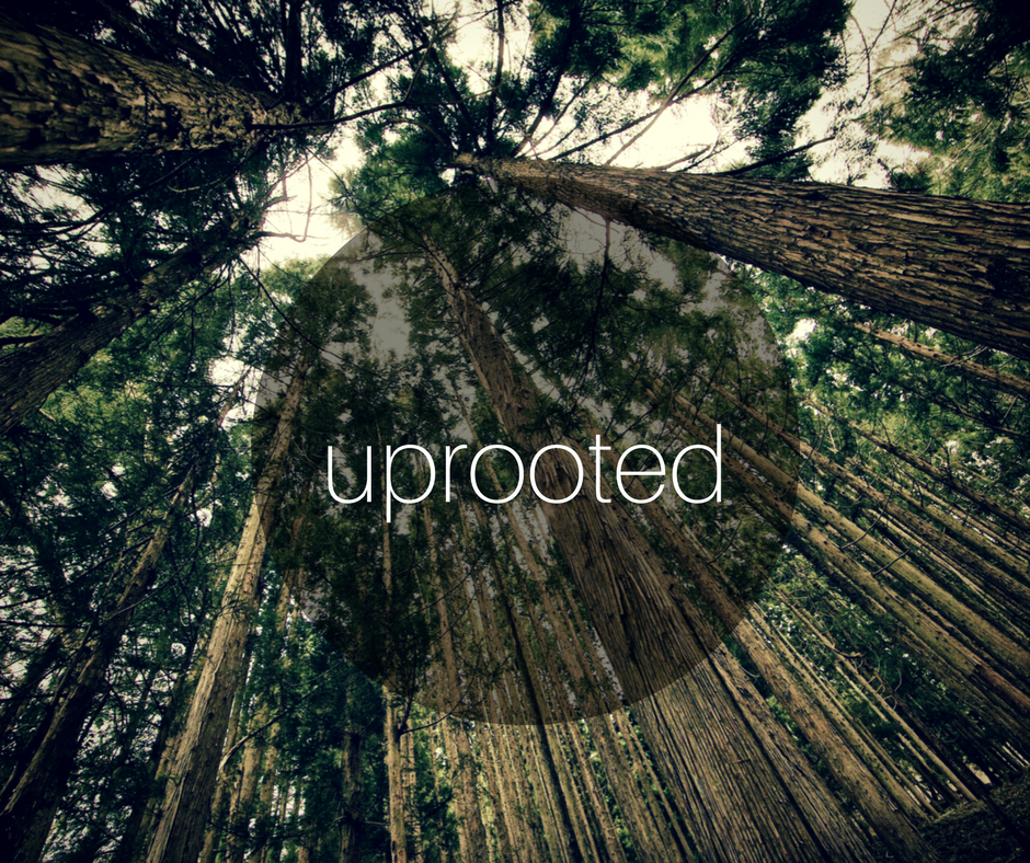 Uprooted