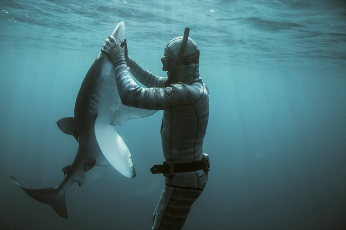 RILEY ELLIOTT a.k.a THE SHARK MAN 📷 AMBER JONES