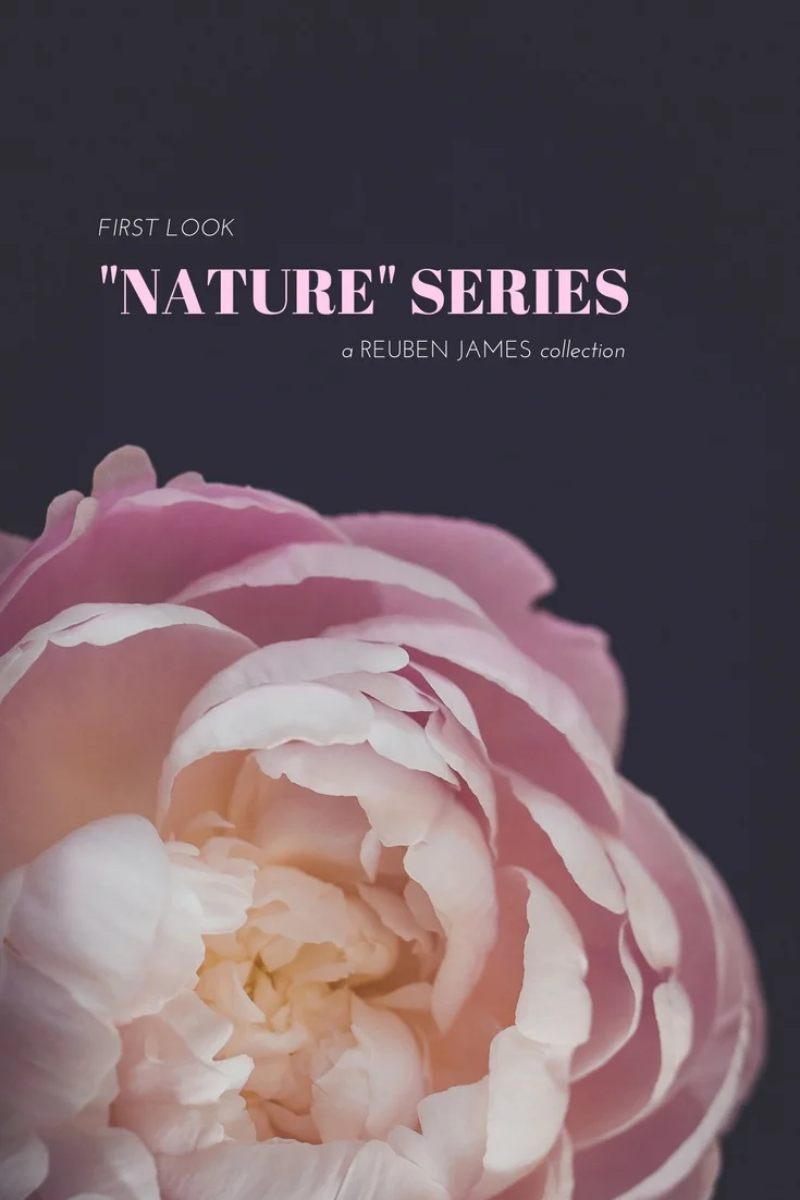 peony-photographic-print-by-reuben-james.jpeg