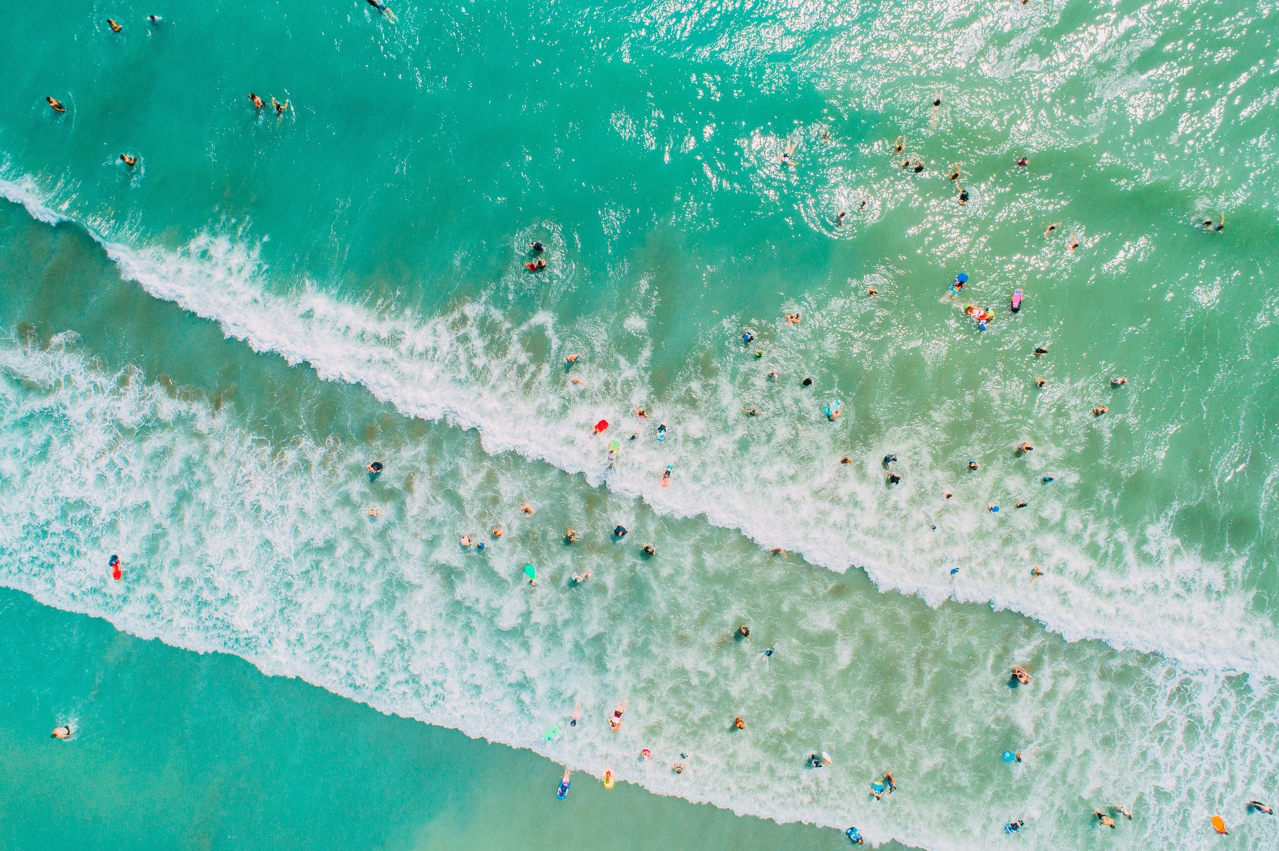 F O X T O N  F I Z Z 