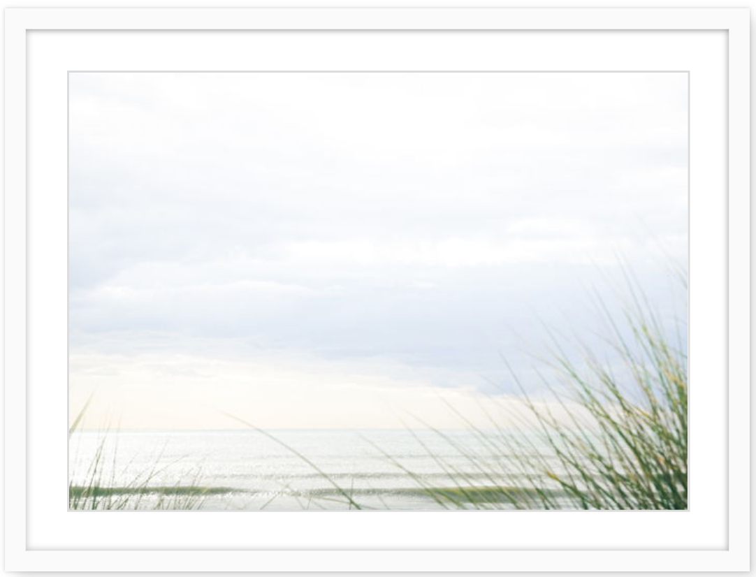 Screen Shot 2019-06-17 at 2.04.06 pm.png