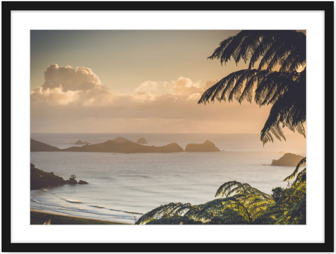 Screen Shot 2019-06-17 at 2.10.21 pm.png