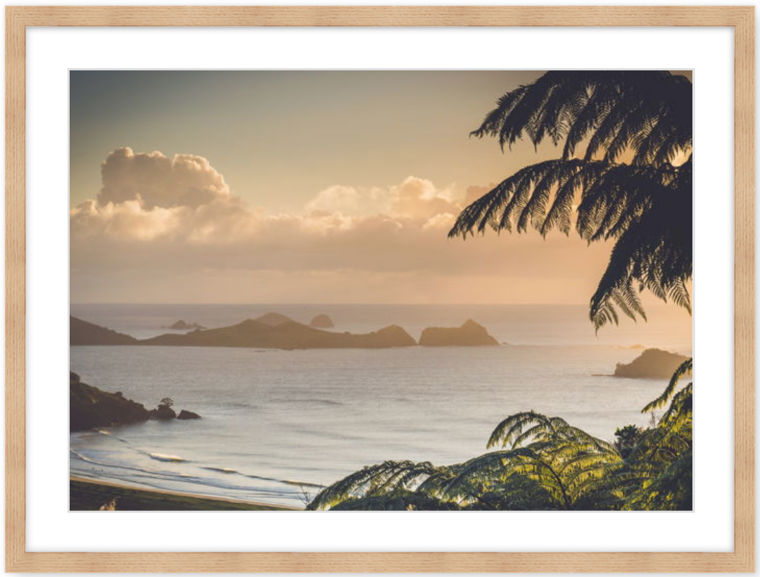 Screen Shot 2019-06-17 at 2.10.40 pm.png