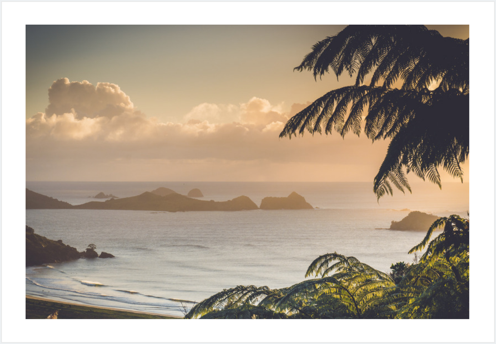 Screen Shot 2019-06-17 at 2.09.02 pm.png
