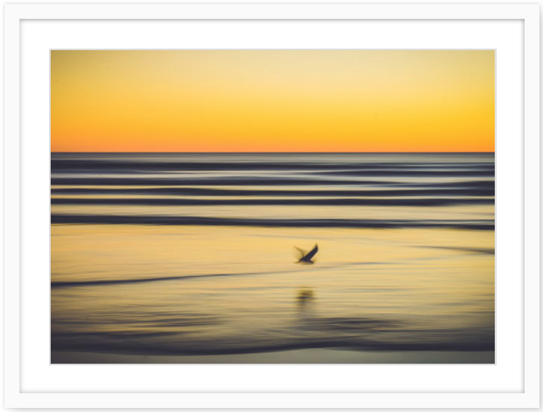 Screen Shot 2019-06-17 at 3.27.26 pm.png