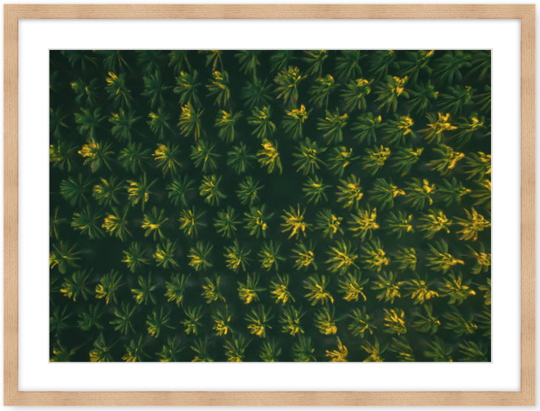 Screen Shot 2019-06-18 at 9.28.41 am.png