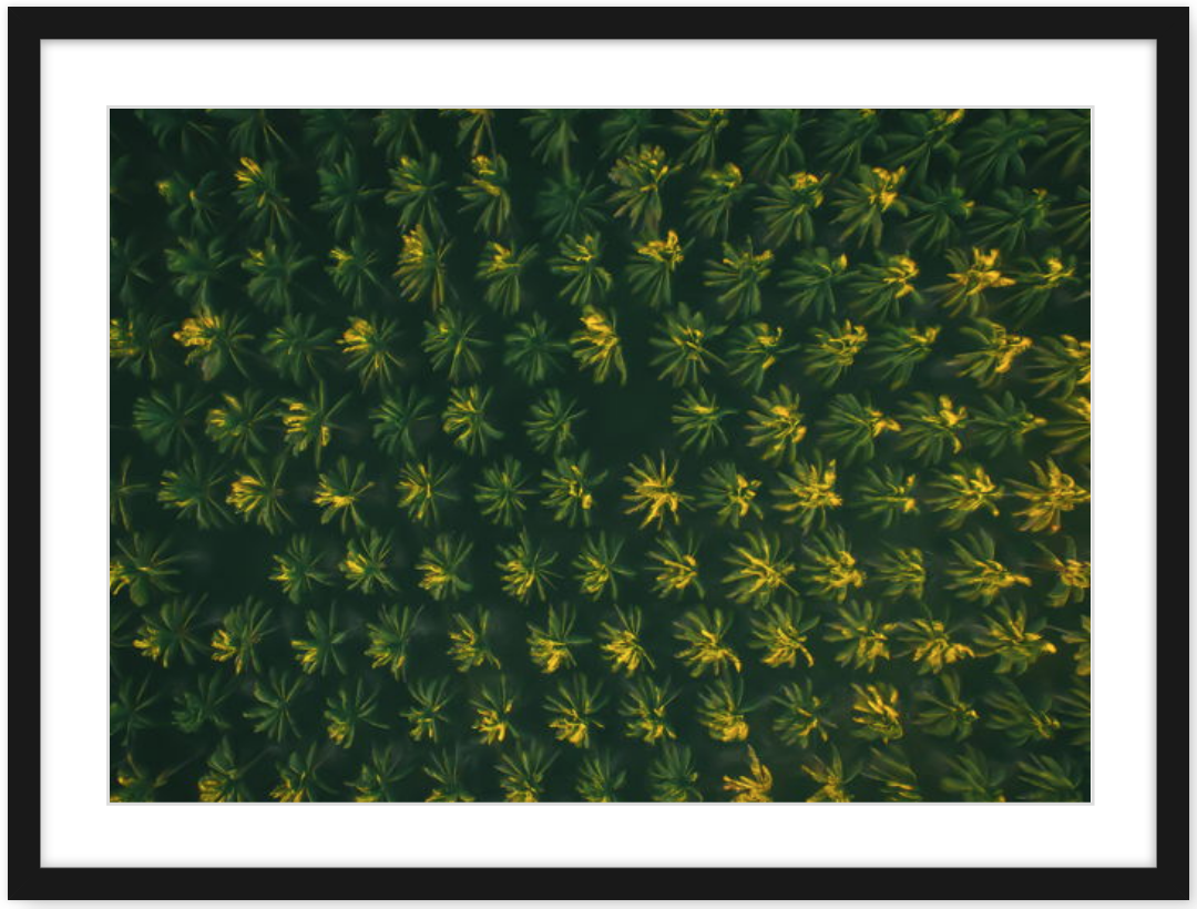 Screen Shot 2019-06-18 at 9.28.27 am.png