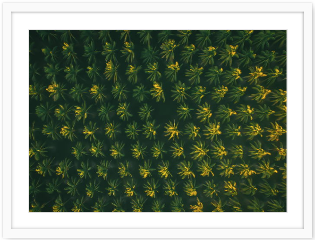 Screen Shot 2019-06-18 at 9.28.18 am.png