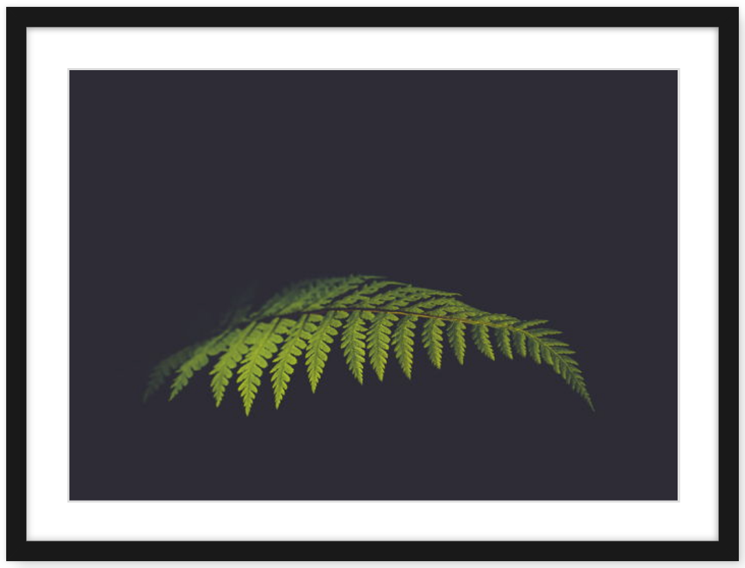 Screen Shot 2019-06-25 at 10.19.56 pm.png