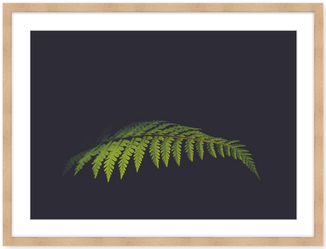 Screen Shot 2019-06-25 at 10.20.08 pm.png