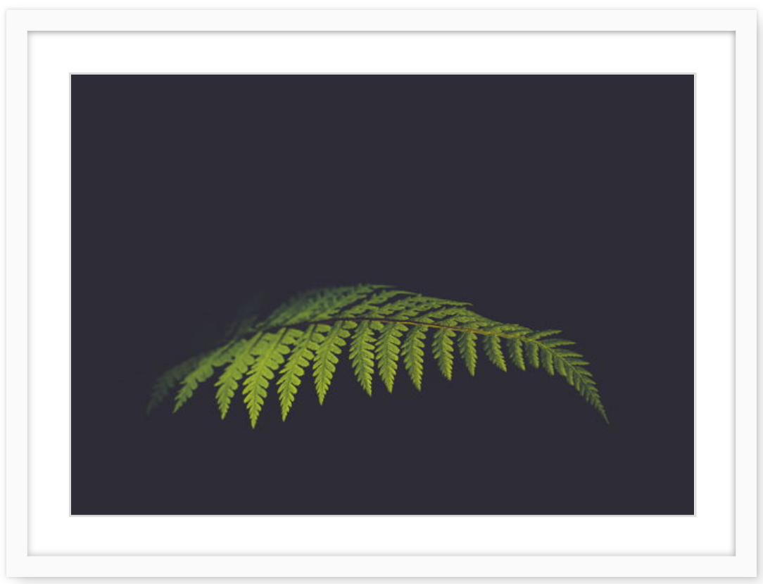 Screen Shot 2019-06-25 at 10.19.44 pm.png