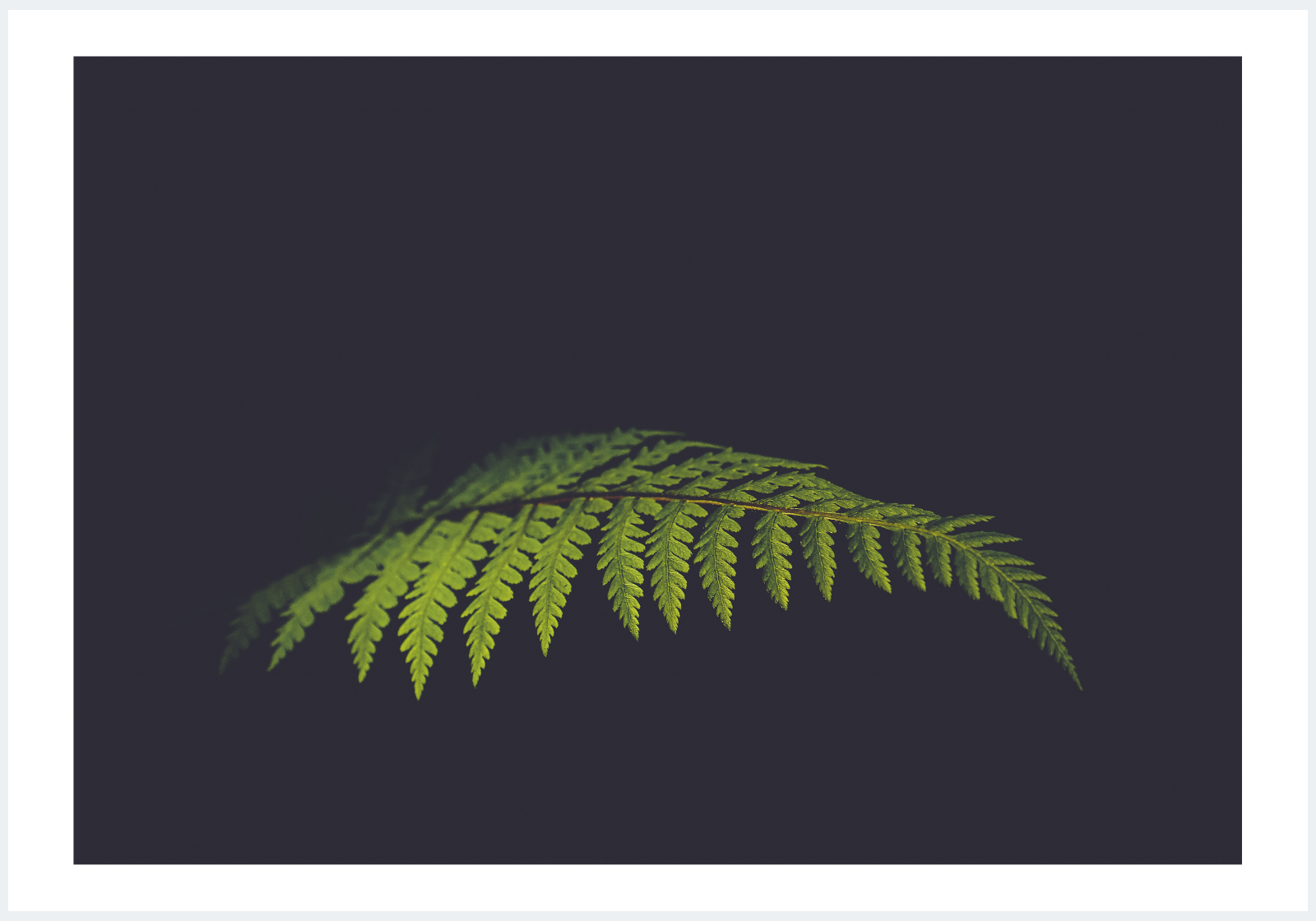 Screen Shot 2019-06-25 at 10.18.56 pm.png